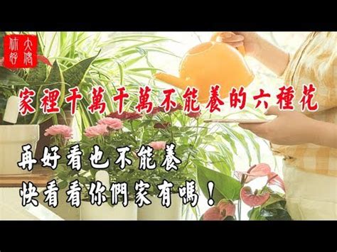 櫻花樹 風水|【櫻花樹 風水】 櫻花樹風水大揭秘！你知道種櫻花樹竟有這麼多。